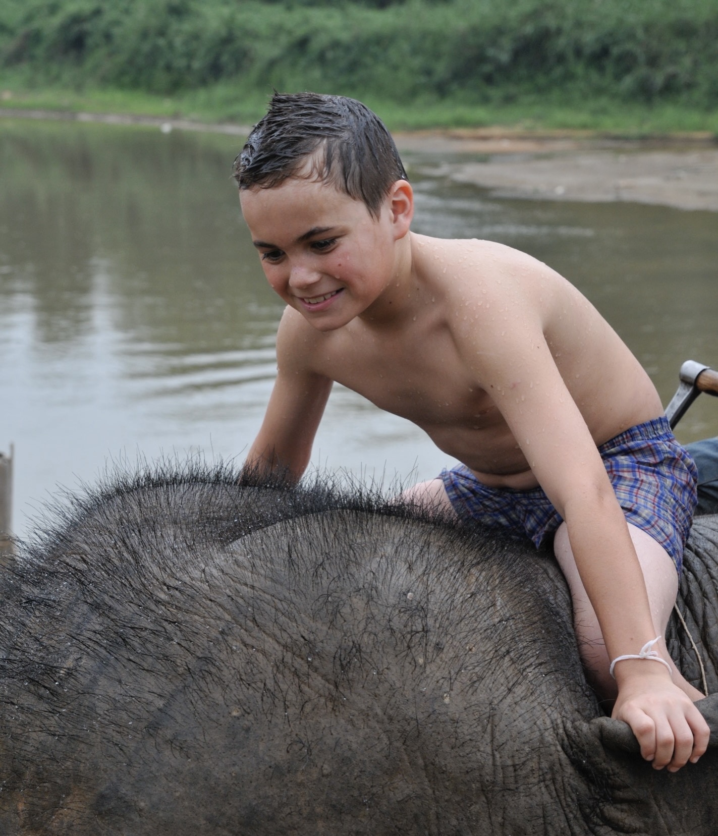 The Elephant Story Blog